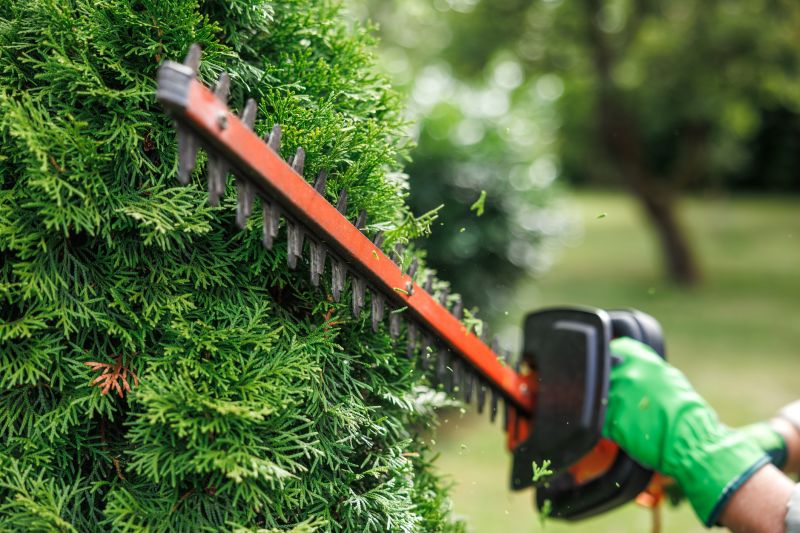 Shrub Trimming Service