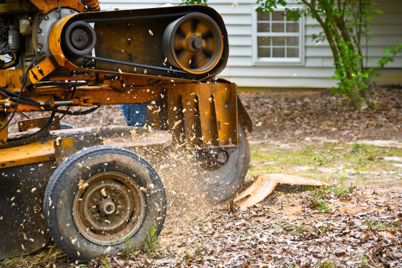 Bush Stump Grinding in Waldorf, MD