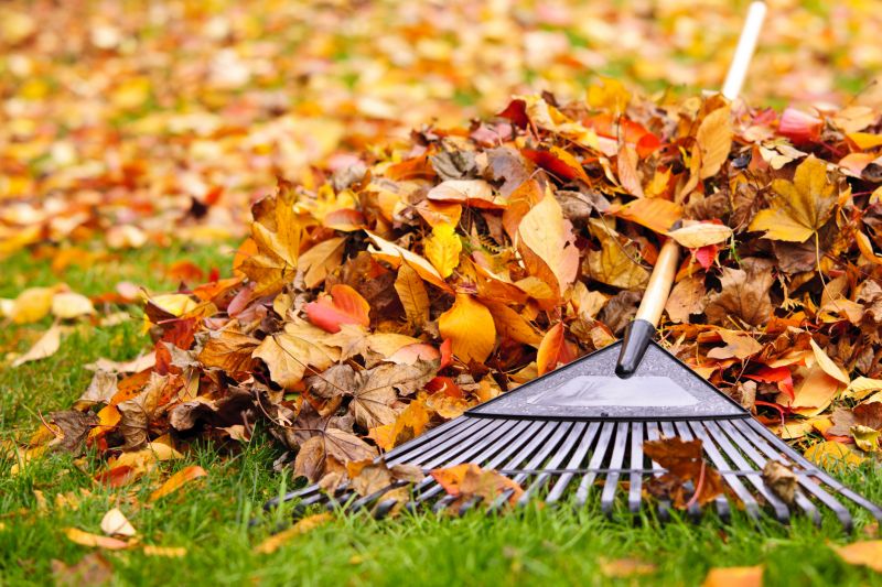 Cleaned Lawn with Fallen Leaves