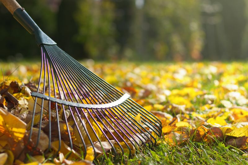 Tools for Fall Lawn Maintenance