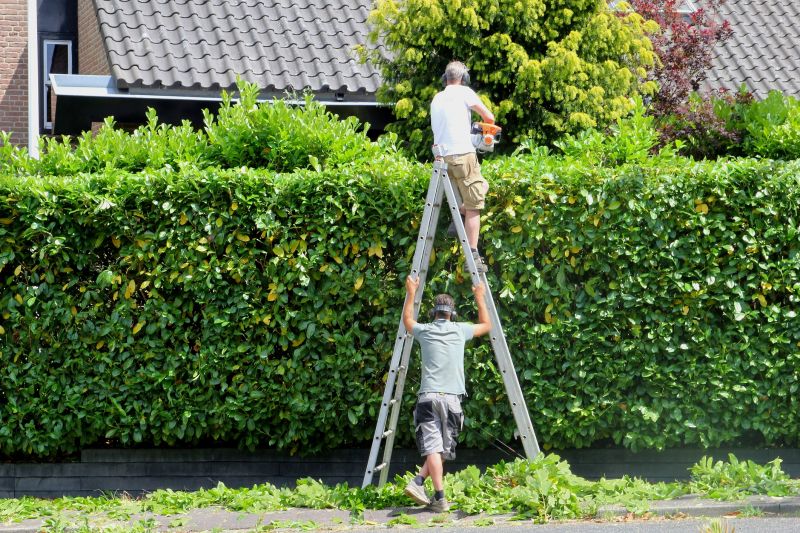 Hedge Removal