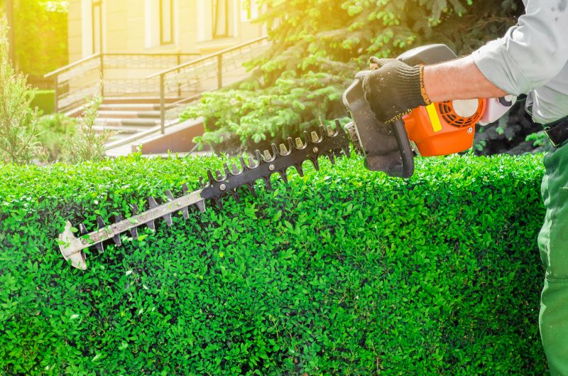 Hedge Removal Equipment