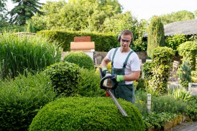 Products For Hedge Removals in use