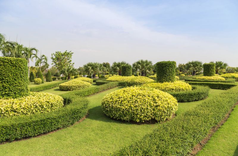 Landscape with Manicured Shrubs